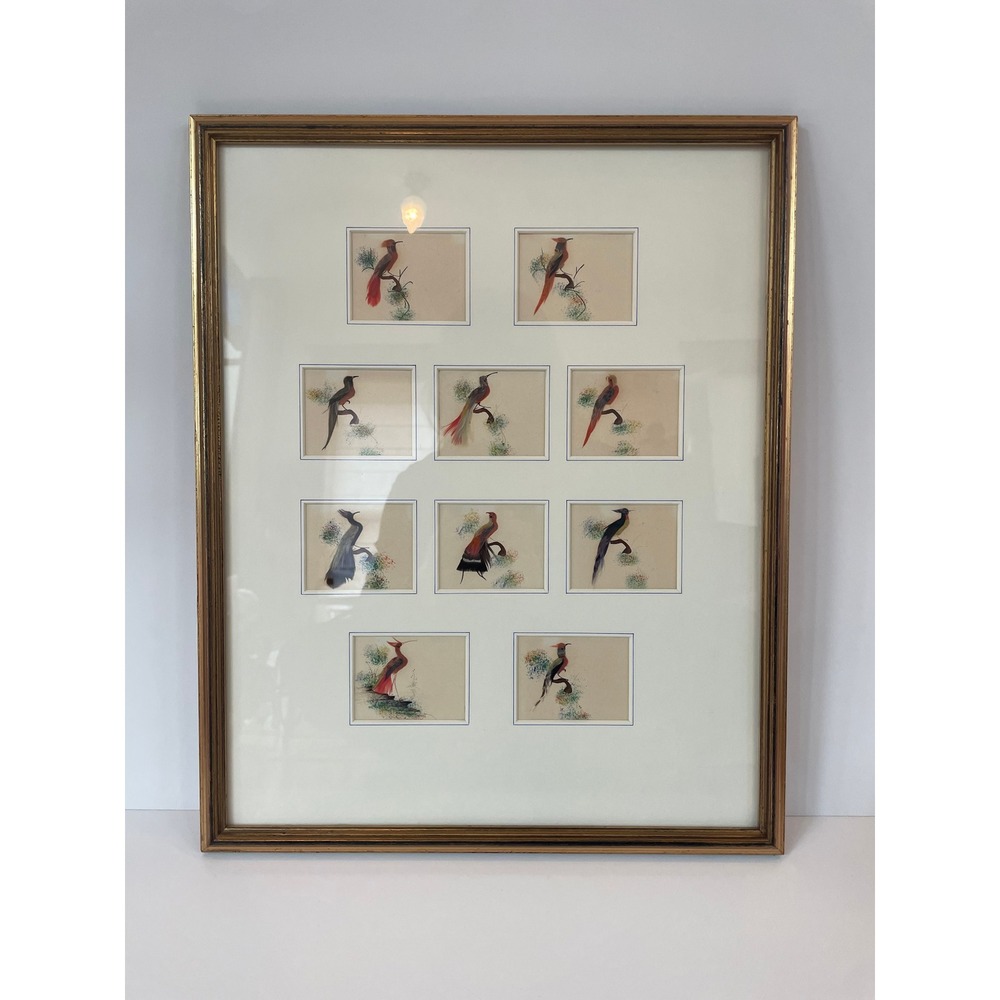Vintage Mexican Feather Art 10 Bird Studies Custom Framed Gold Tone
